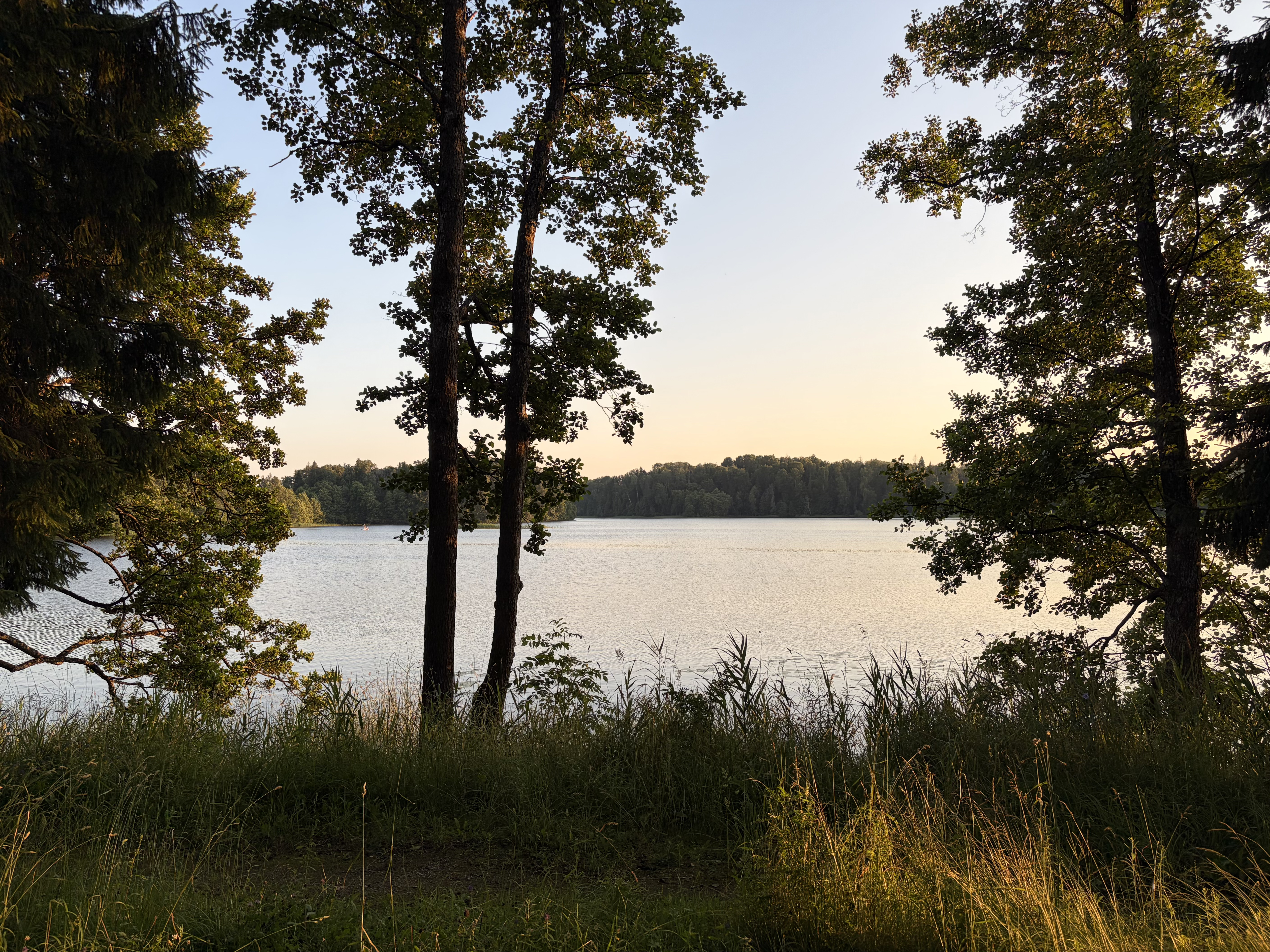 Landscape
