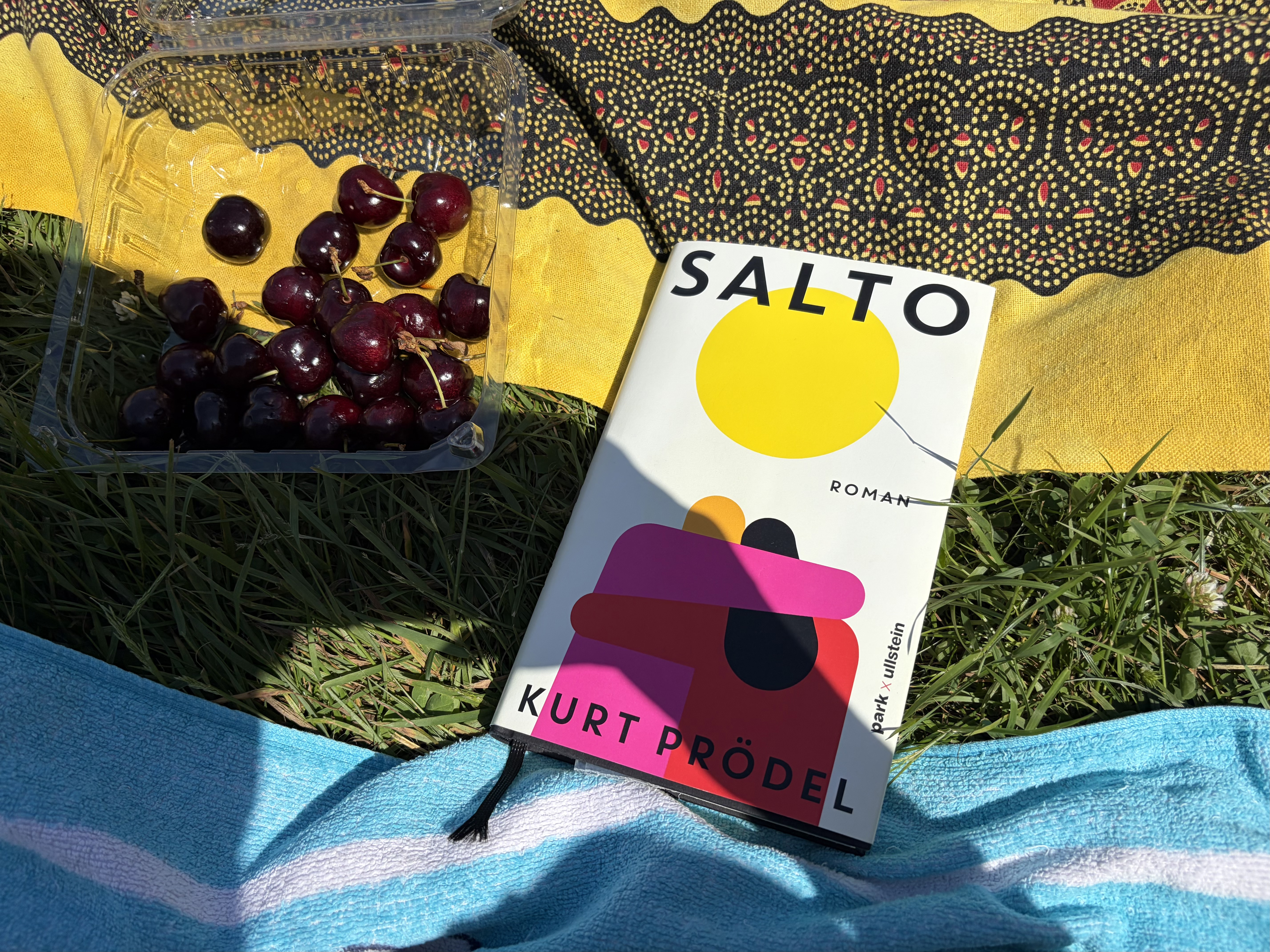 Cover of Salto by Kurt Prödel